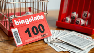 Vad kostar en bingolott? – Priser 2024